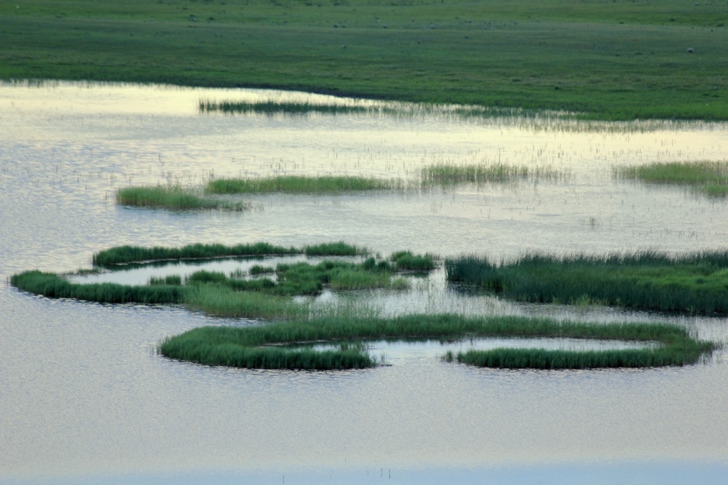 野鸭湖11.jpg