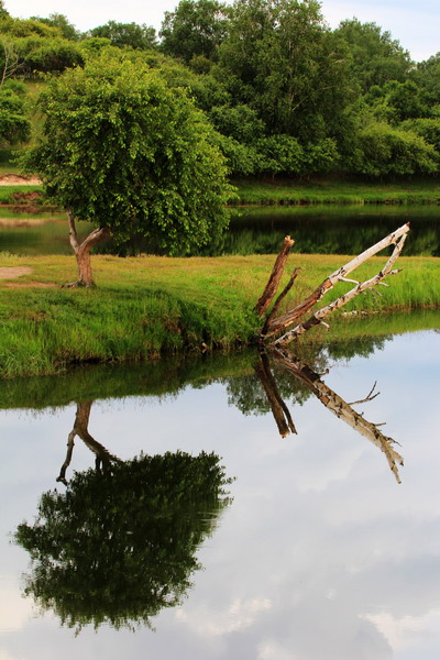 img_8426_缩小大小.jpg