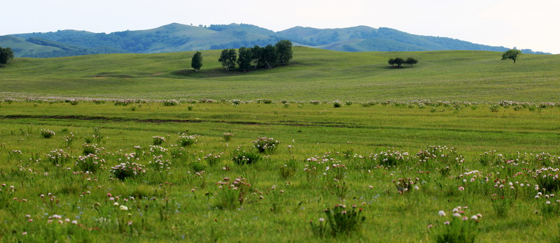 img_8688_СС.jpg