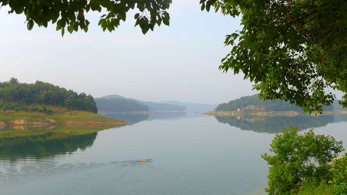 p1140031_.jpg