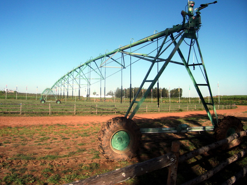 dscf0314.jpg