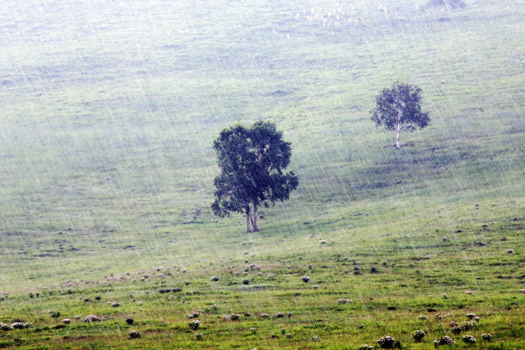 ˮȪ7.jpg