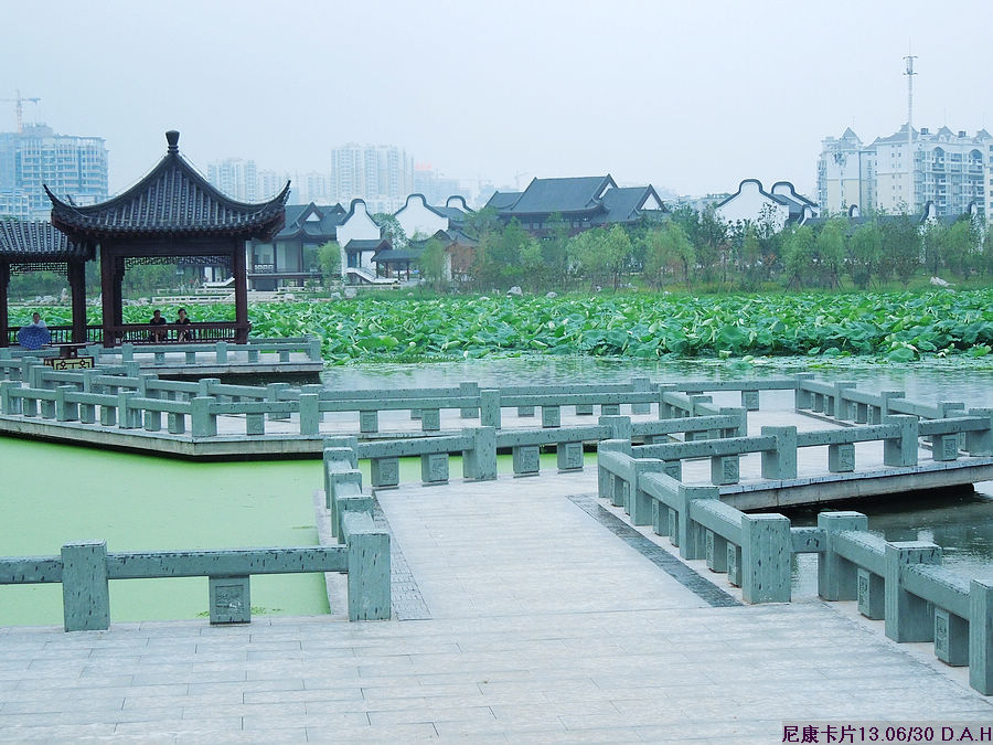 dscn0816.jpg