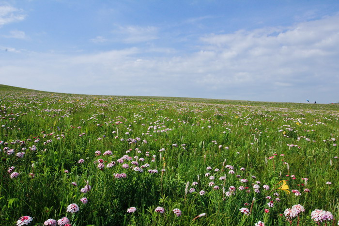 img_9441_СС.jpg