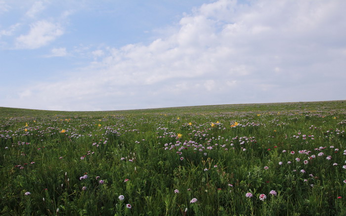img_9456_СС.jpg