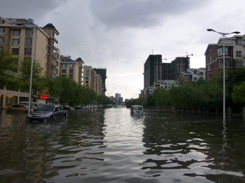 p1080857.jpg