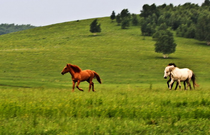 img_9375_СС_СС.jpg