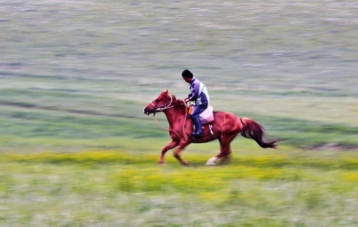 img_9381_СС_СС.jpg