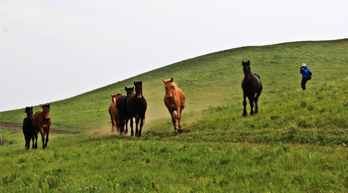 img_9389_СС.jpg