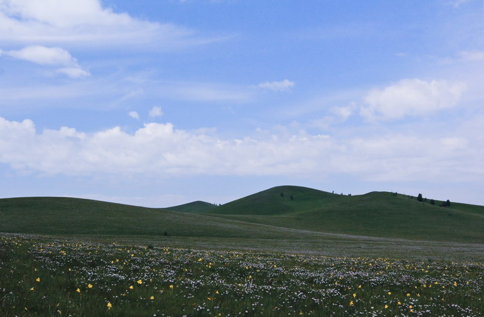 img_9619_缩小大小.jpg