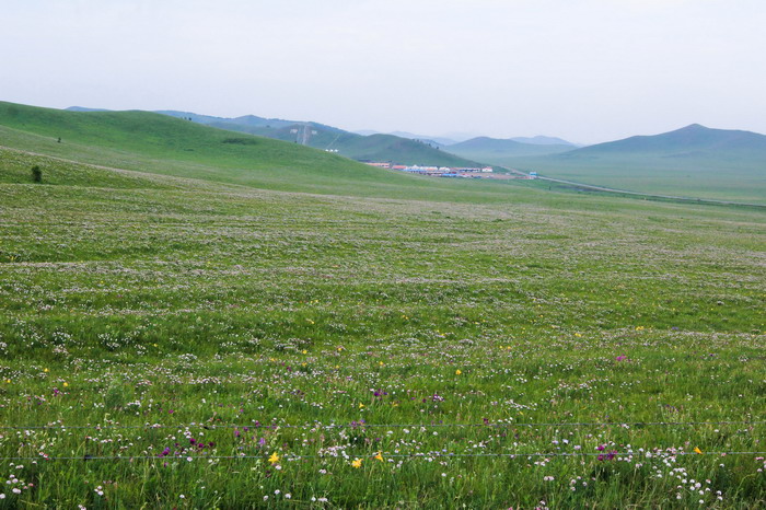 img_9615_缩小大小.jpg