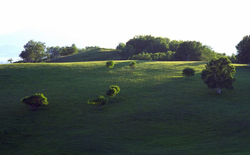 imgp7208a.jpg