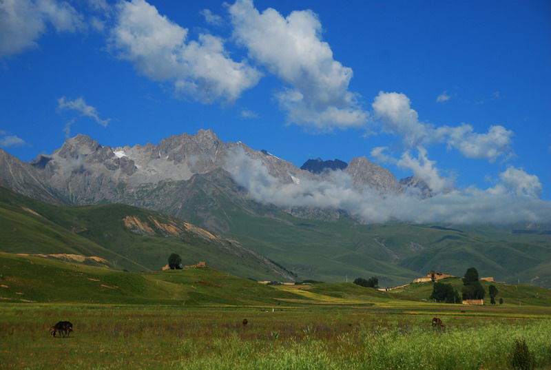 dsc_4421.jpg