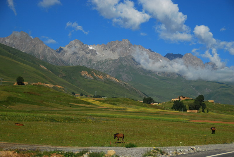 dsc_4422.jpg