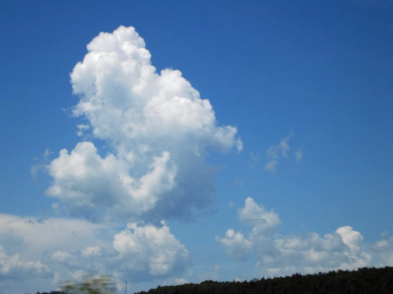 dscf2756_.jpg