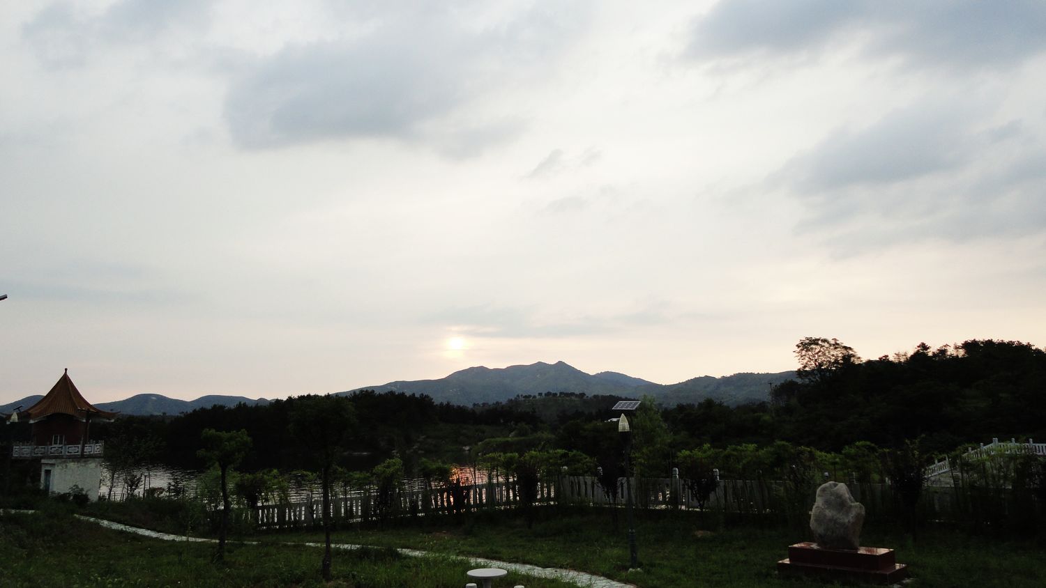 neo_img_dsc05267.jpg