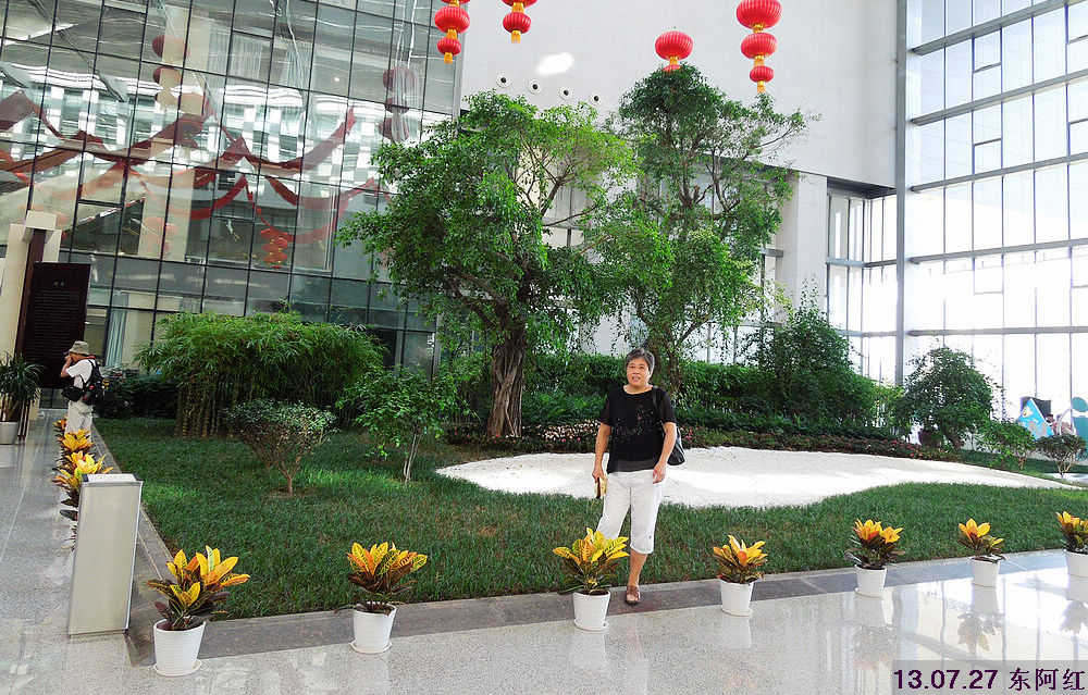 dscn5210.jpg