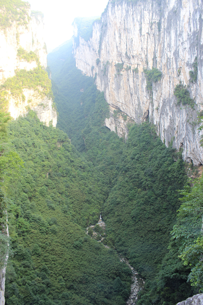 img_2359_副本.jpg