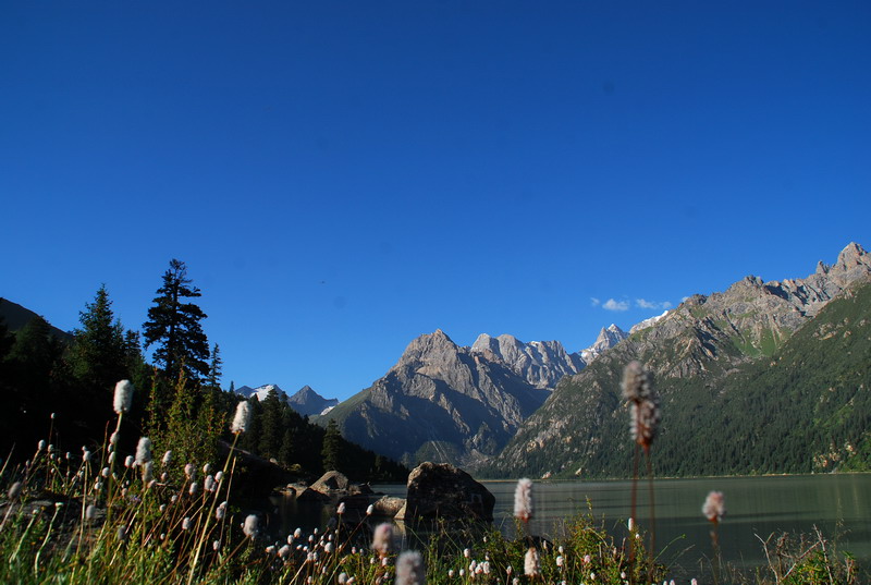 dsc_4600.jpg