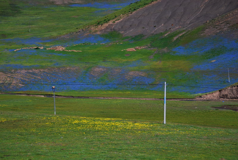dsc_4987.jpg