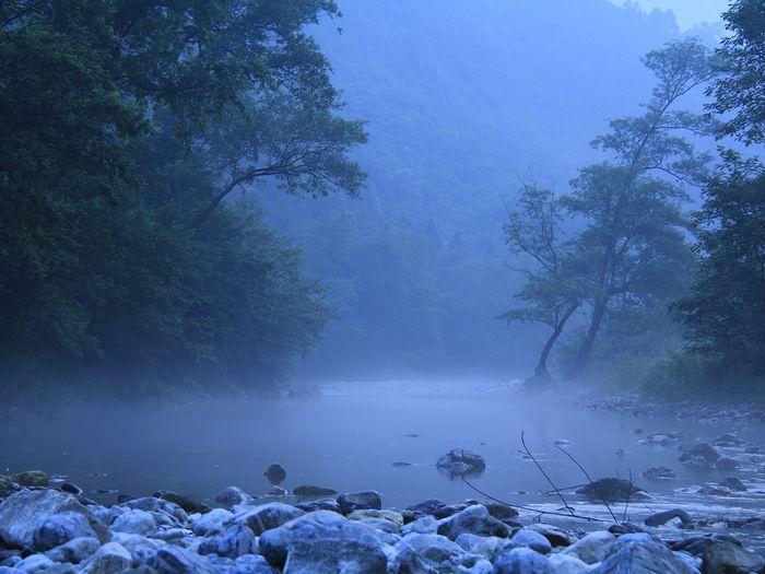 _mg_7461.jpg