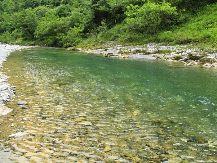 _mg_7146.jpg