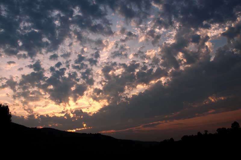 -img_7421.jpg