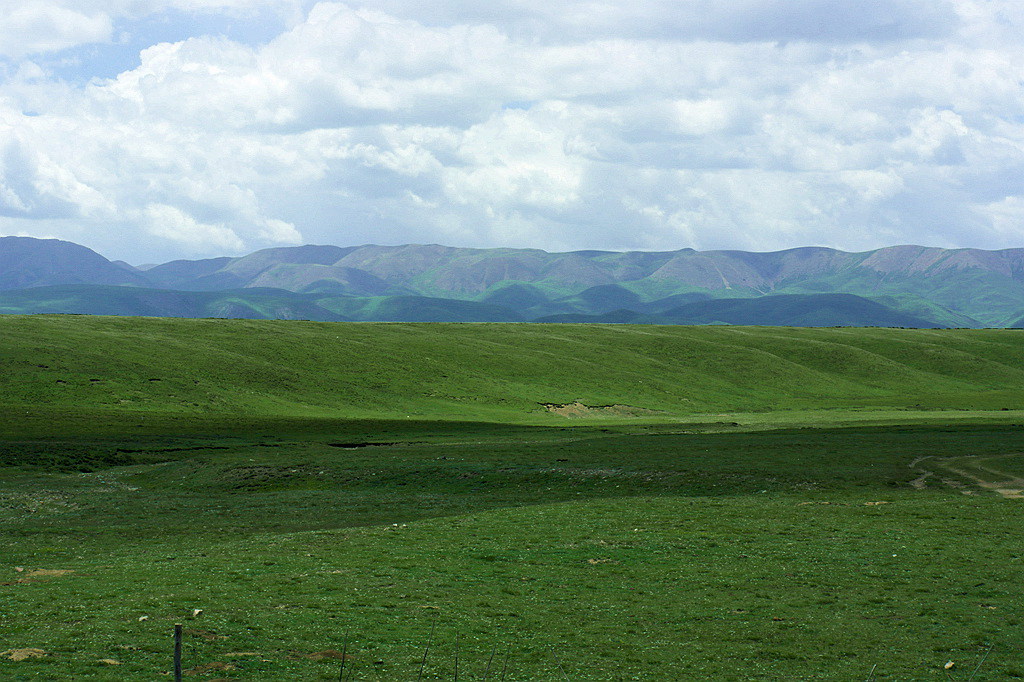 sam_9504.jpg