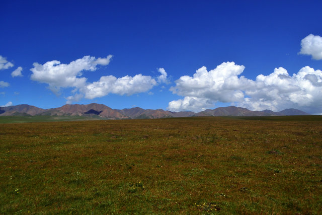 dsc_0181.jpg