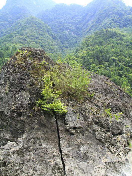 _mg_7152.jpg
