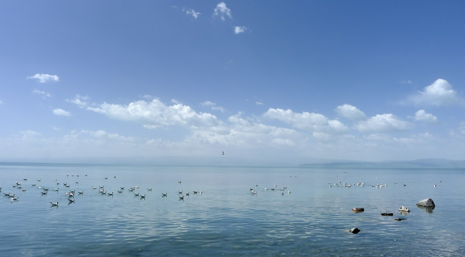 p1190827--1.jpg