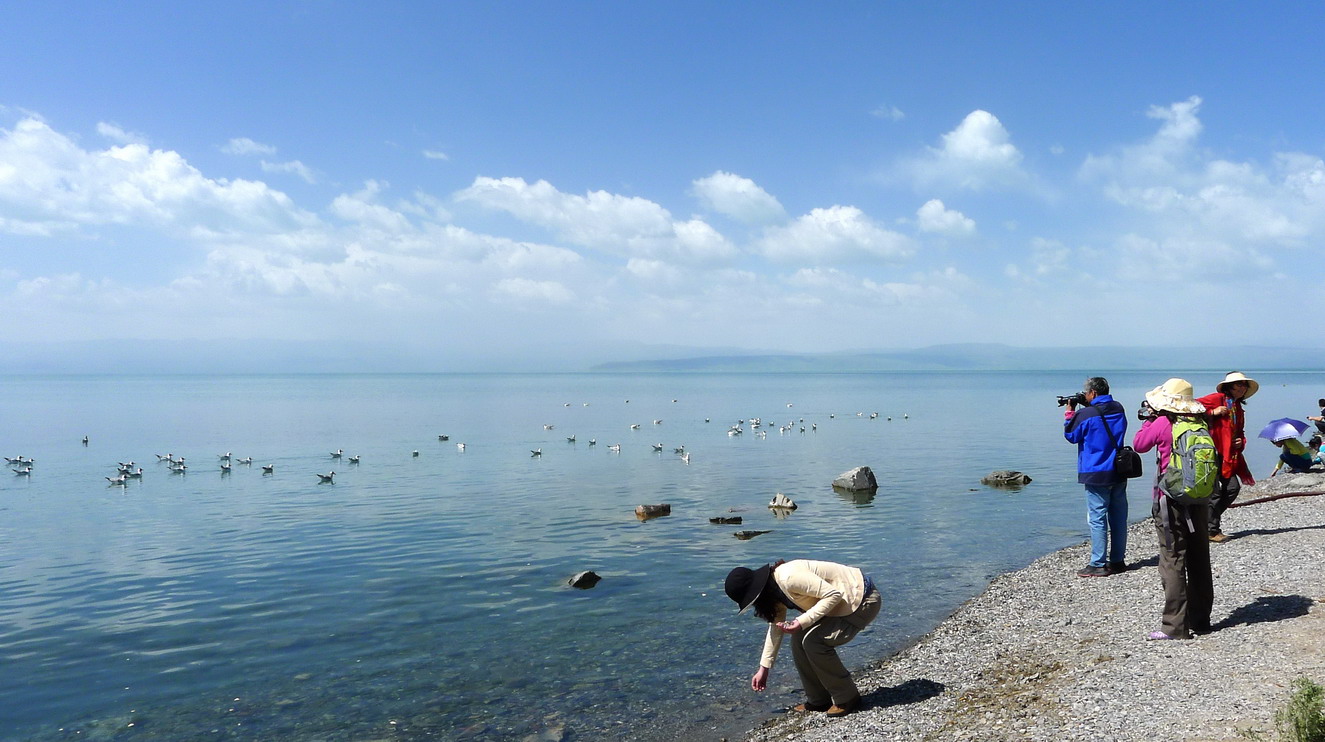 p1190829--1.jpg