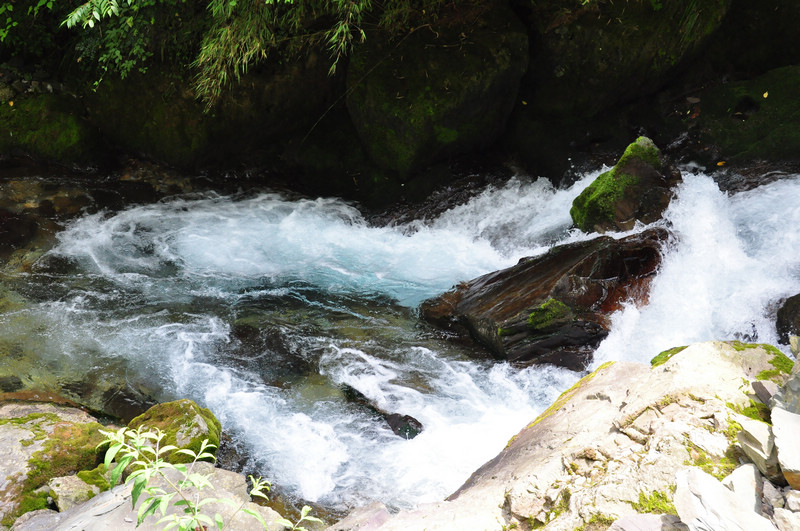 dsc_0172.jpg