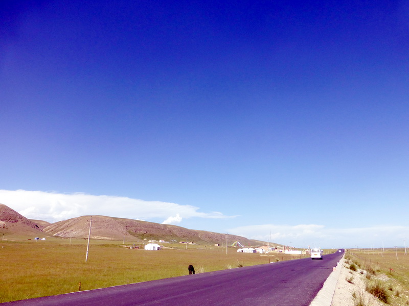 p1100173.jpg