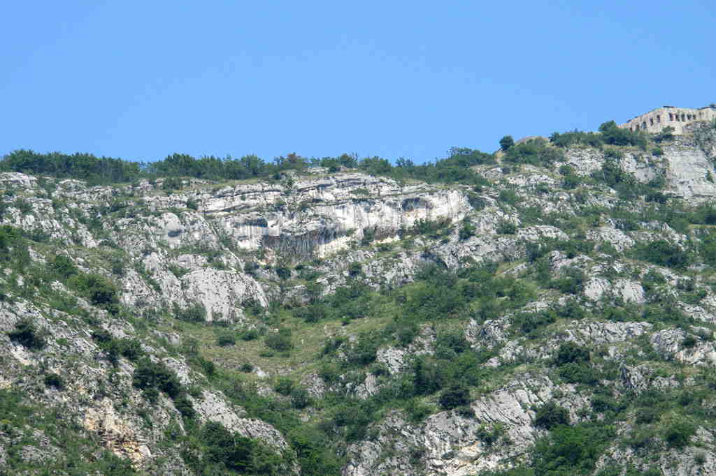 img_7423_.jpg