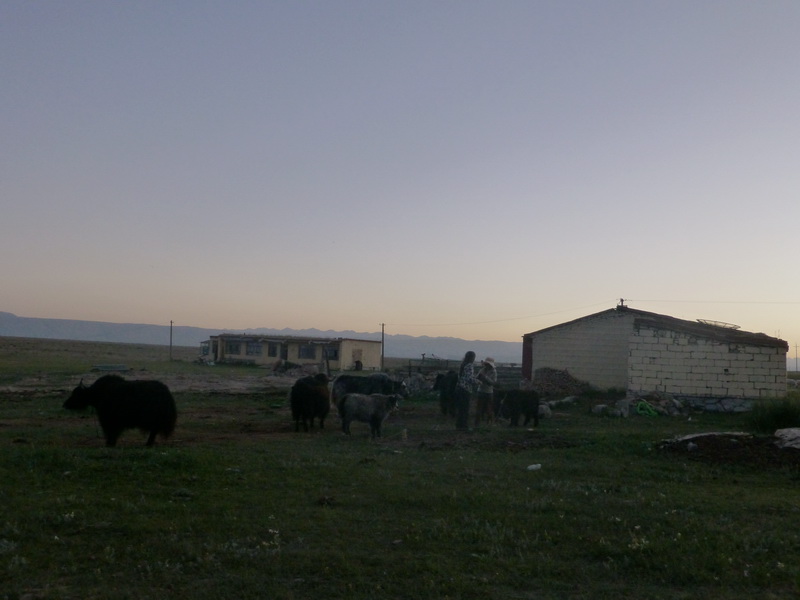 p1100193.jpg