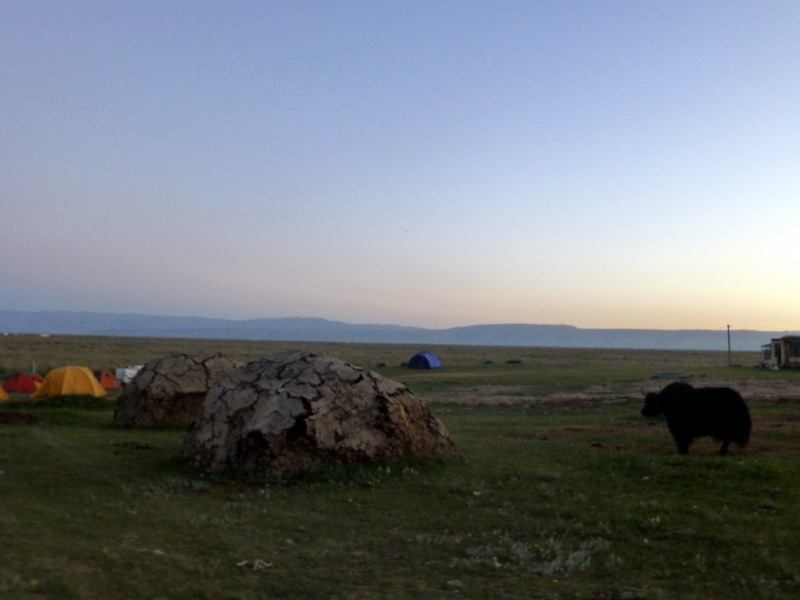 p1100194.jpg