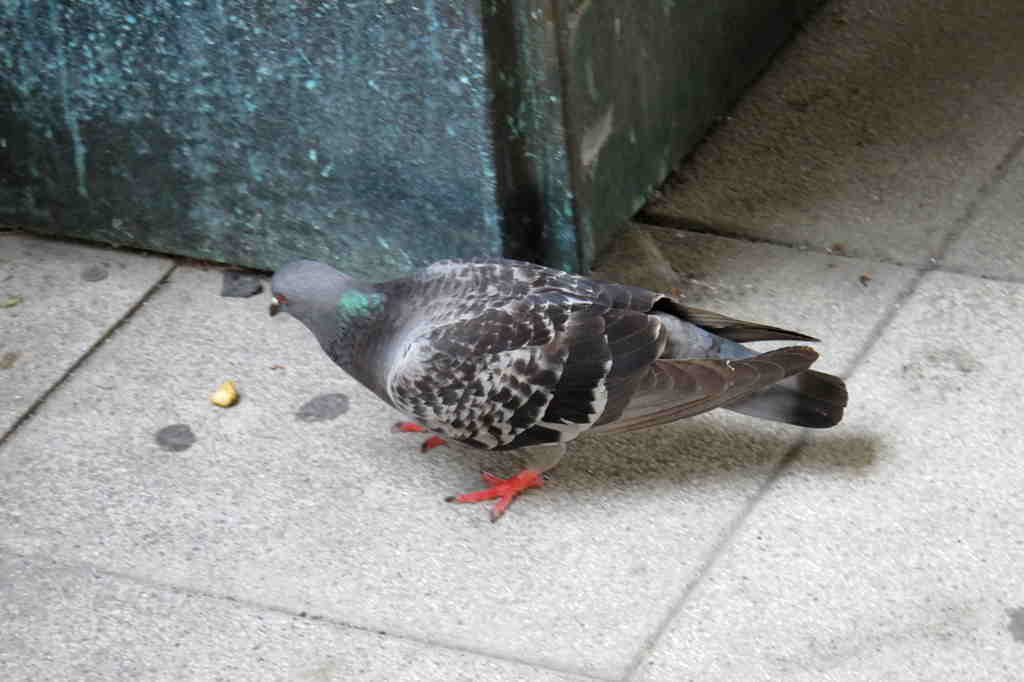 img_7461_.jpg