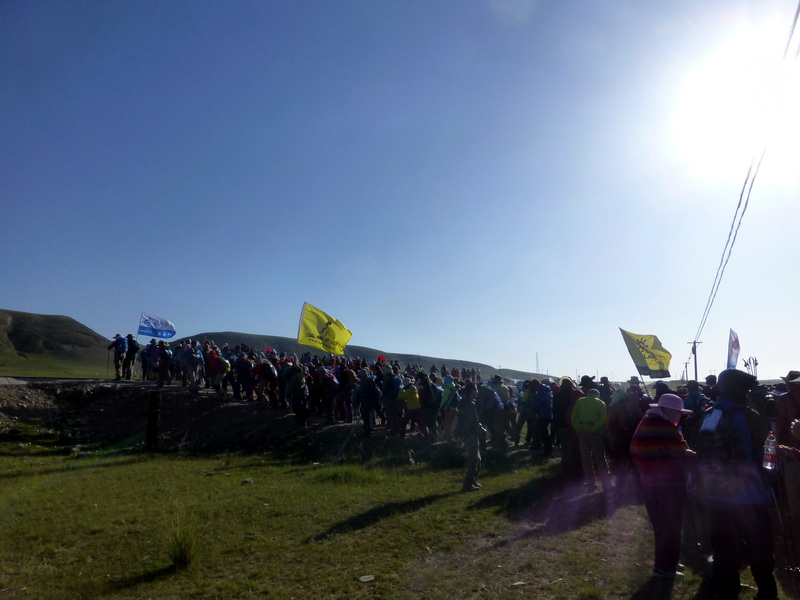 p1100237.jpg