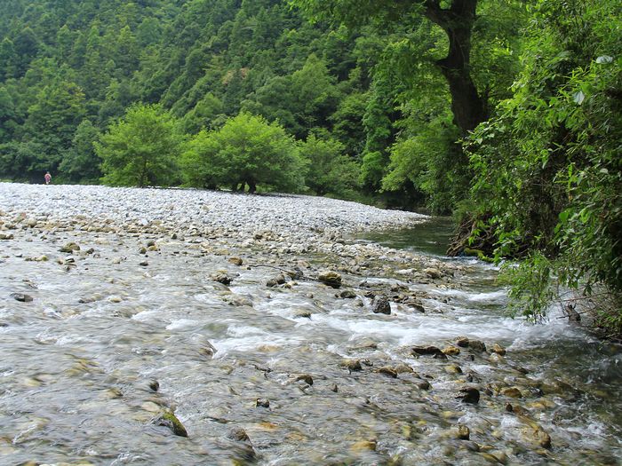 _mg_7196.jpg