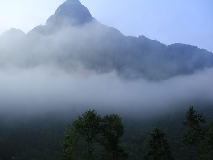 _mg_7337.jpg