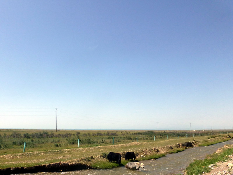 p1100500.jpg