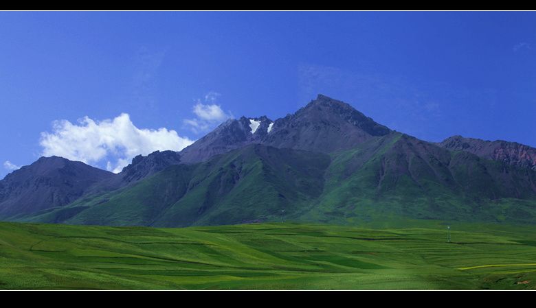 img_2589.jpg