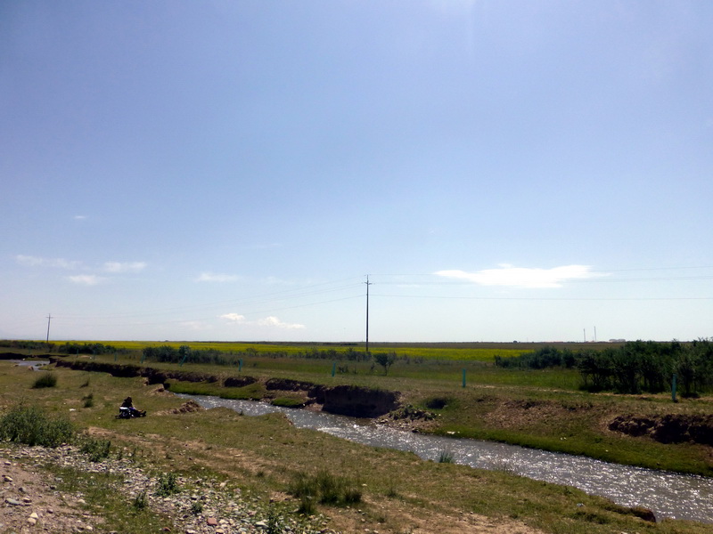 p1100504.jpg