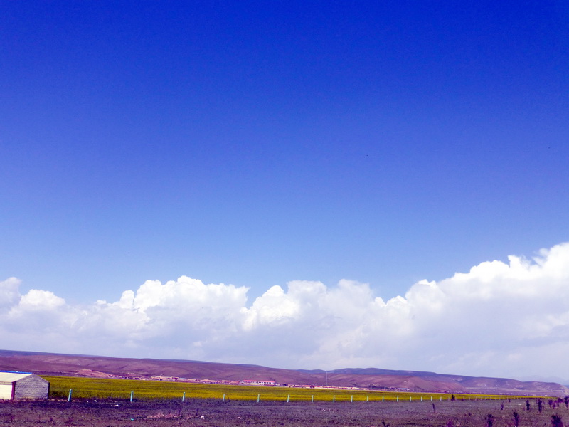 p1100525.jpg