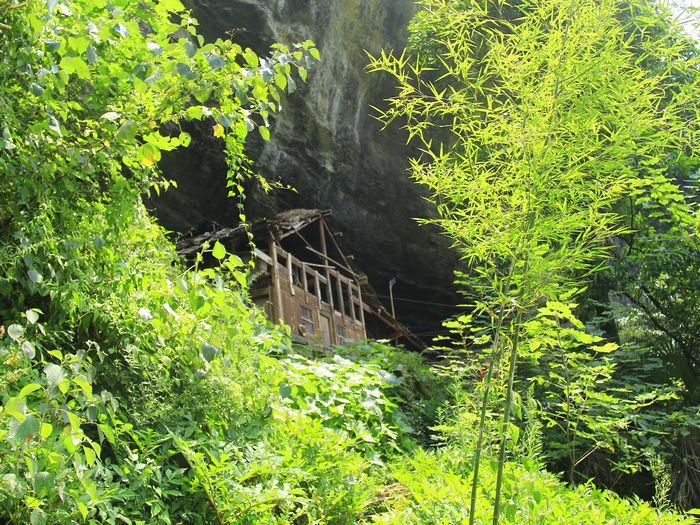 _mg_7393.jpg