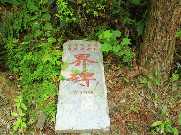 _mg_7345.jpg