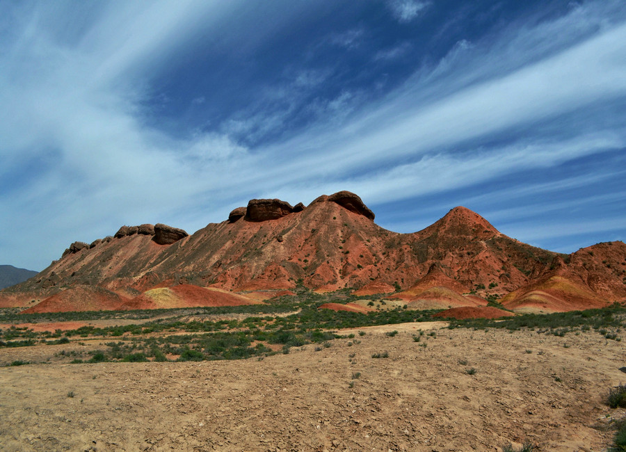 dsc_0841.jpg