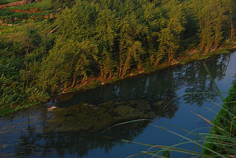 dsc_0061_.jpg