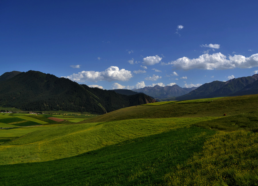 dsc_0235.jpg